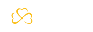 Ireland Employement Hub logo - Contact us, contactenos - Contate-nos - Events - Eventos - services - servicios - serviços